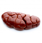 cow_kidney