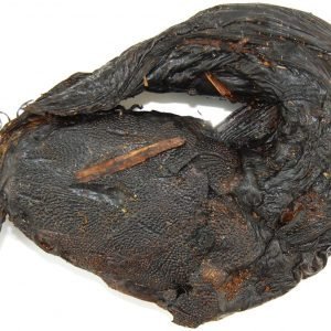 Dried Fish