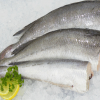 Hake Fish