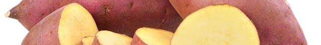 sweetpotatoes1566543341 sweetpotatoes1566543341