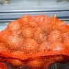 Onion - 3pcs