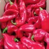 Red Long pepper