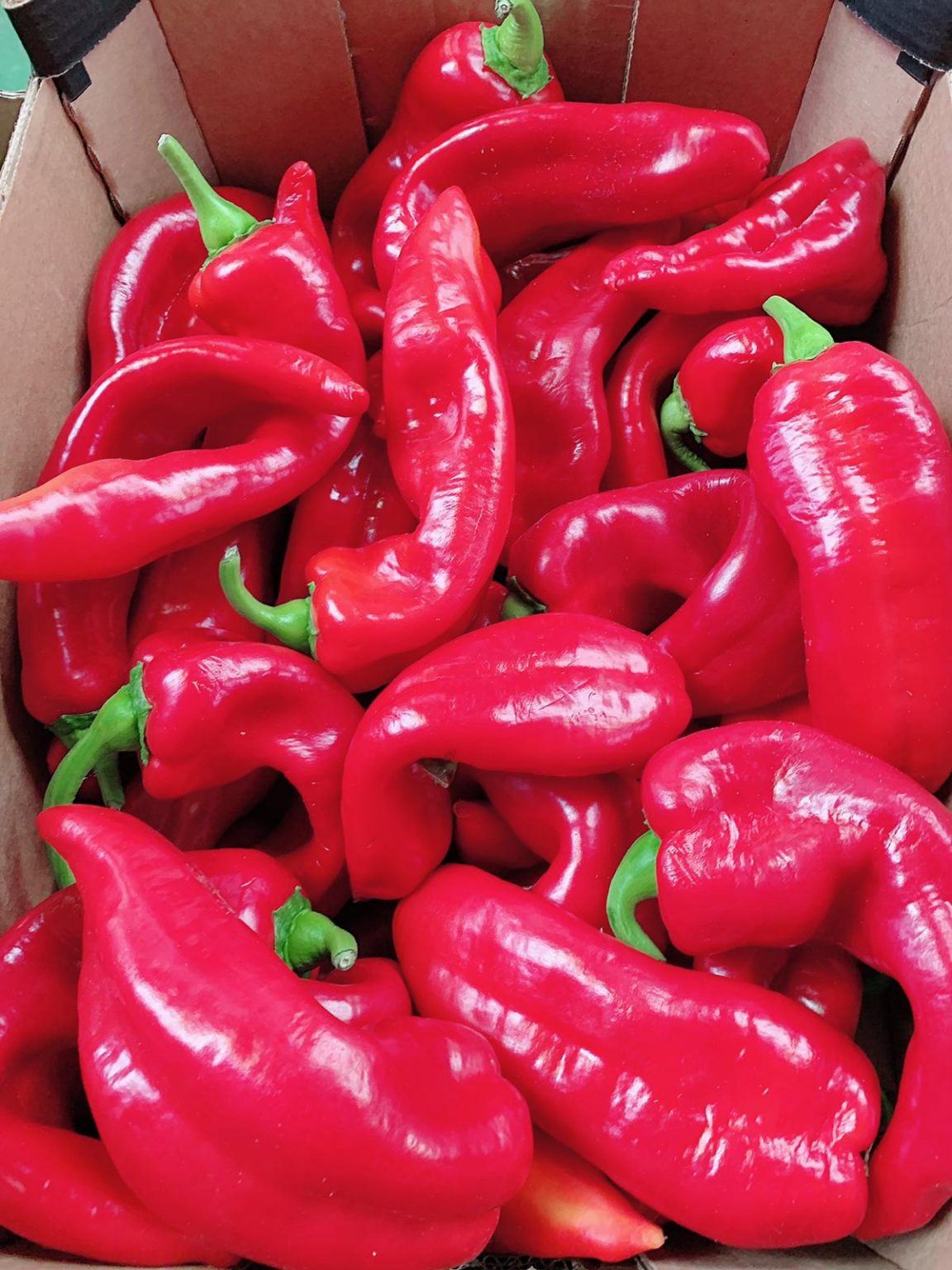 Red Long Pepper Lantos Foods